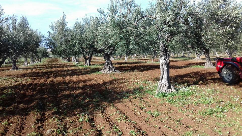 Dove sono le nostre terre